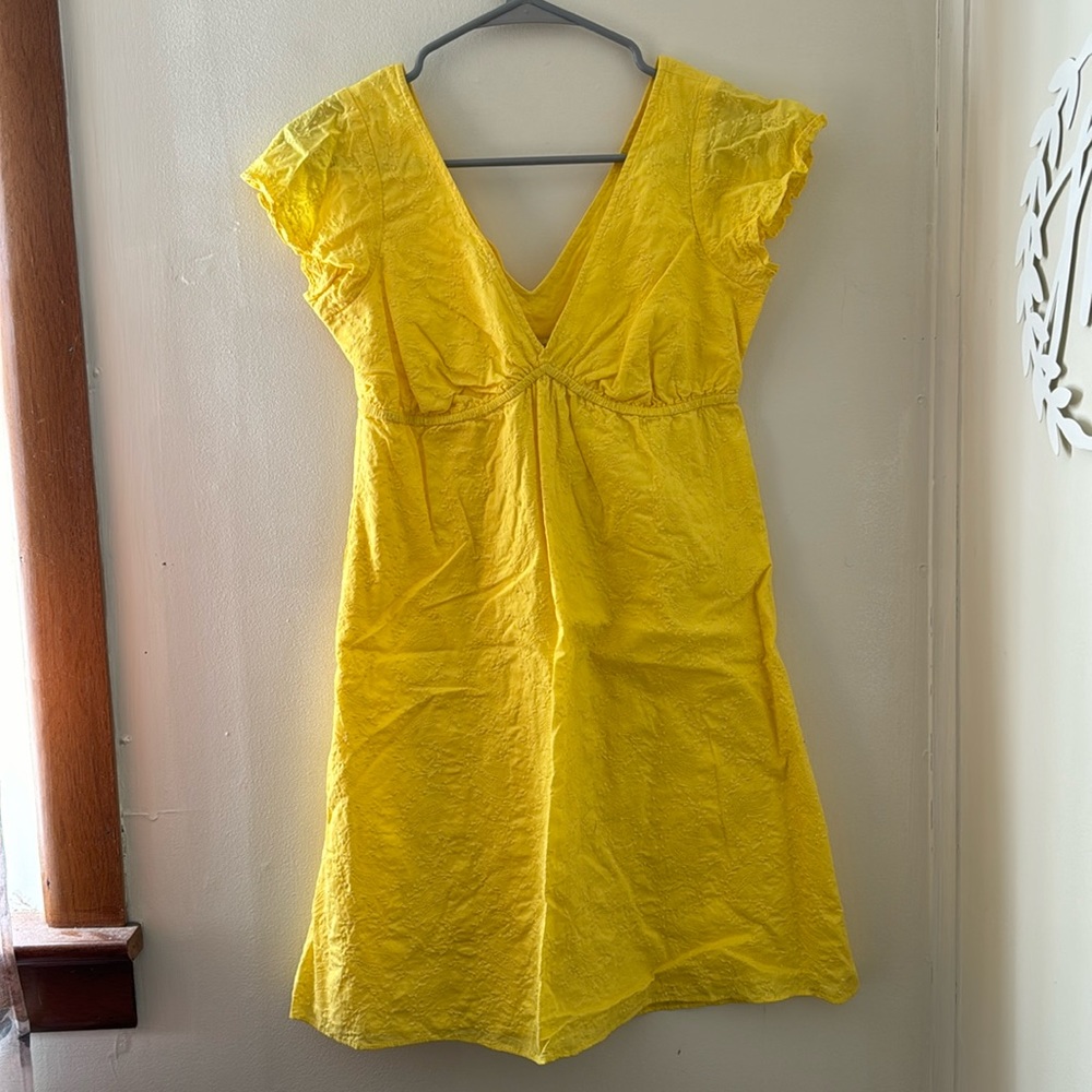 Express Mini Dress